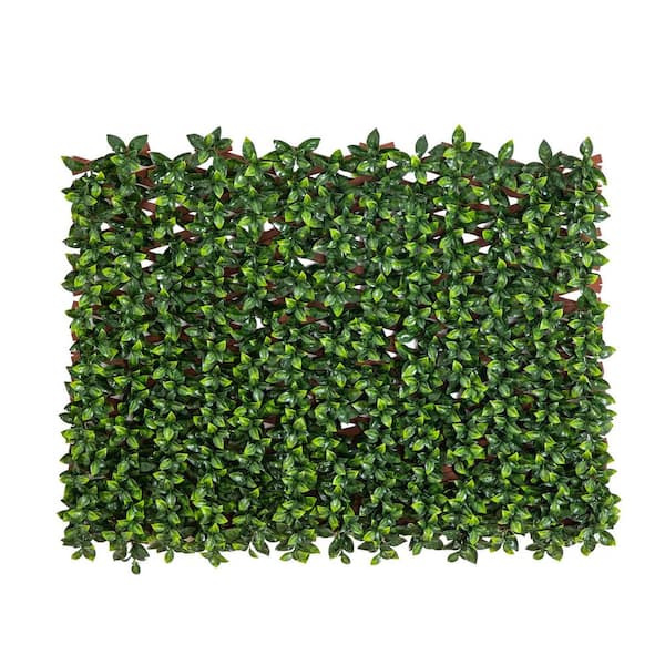 36 in. x 72 in. UV Resistant Artificial Gardenia Expandable Privacy Fence Hedge Panel Screen (Indoor/Outdoor)
