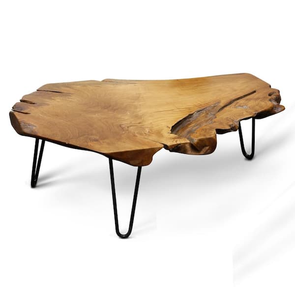 Stylecraft Badang 40 In Clear Lacquer, Live Edge Black Walnut Side Table