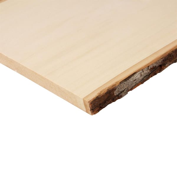 Basswood Sheet 1/8in x 1in x 24in (Pack of 15)