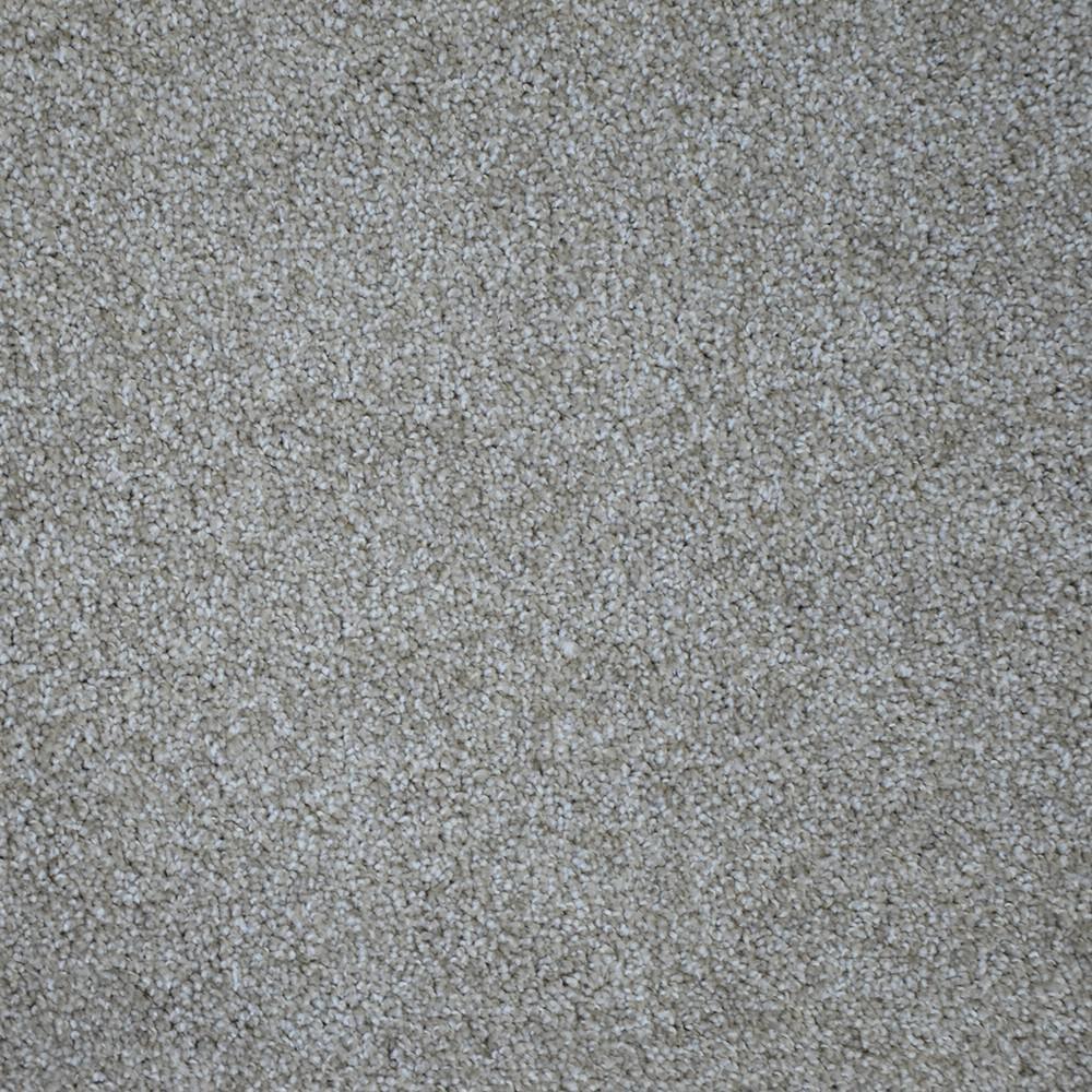 8 in. x  8 in. Texture Carpet Sample - Happy Chance -Color Lucky price history on PriceWatchPro