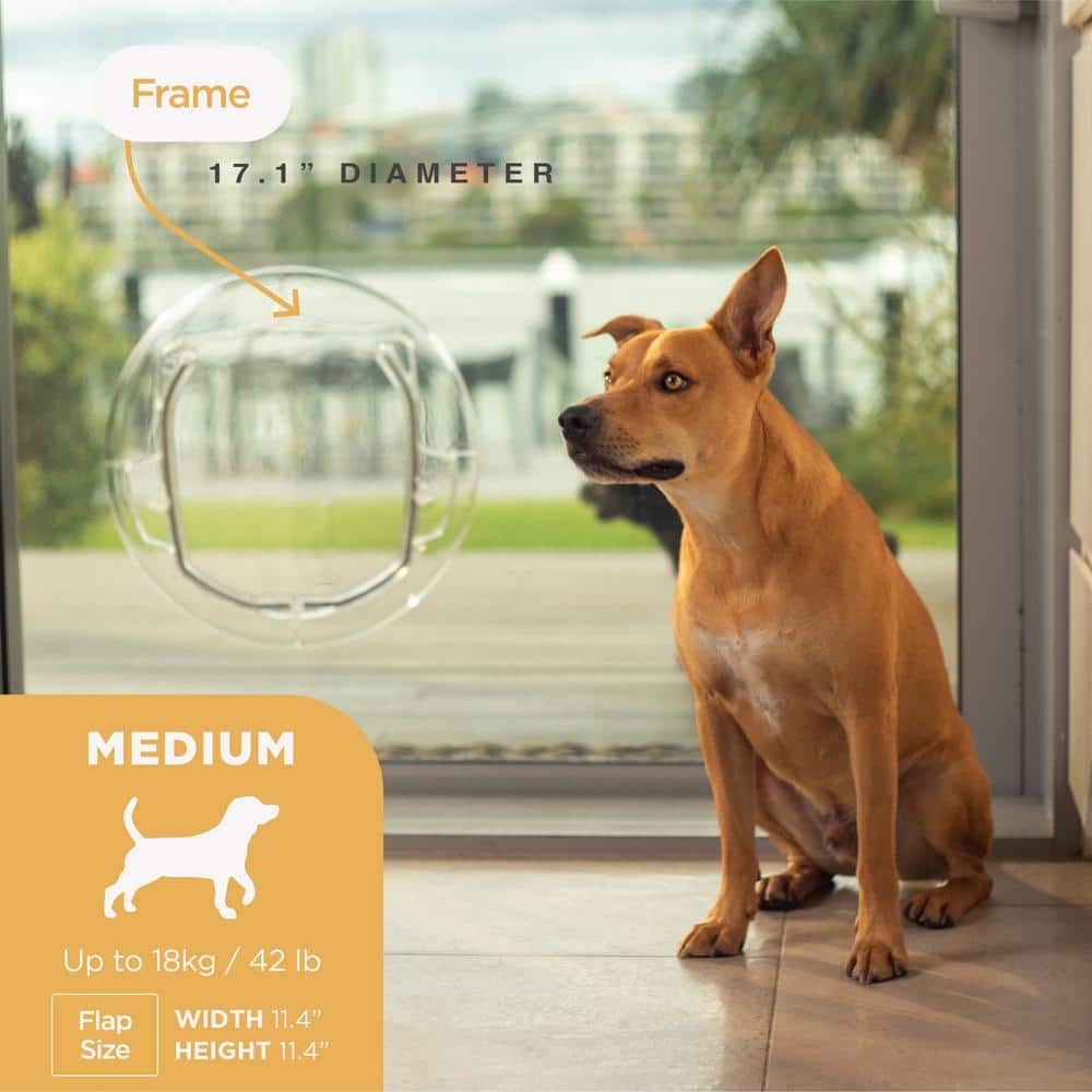 Medium Clear Plastic Pet Door with Magnetic Lock