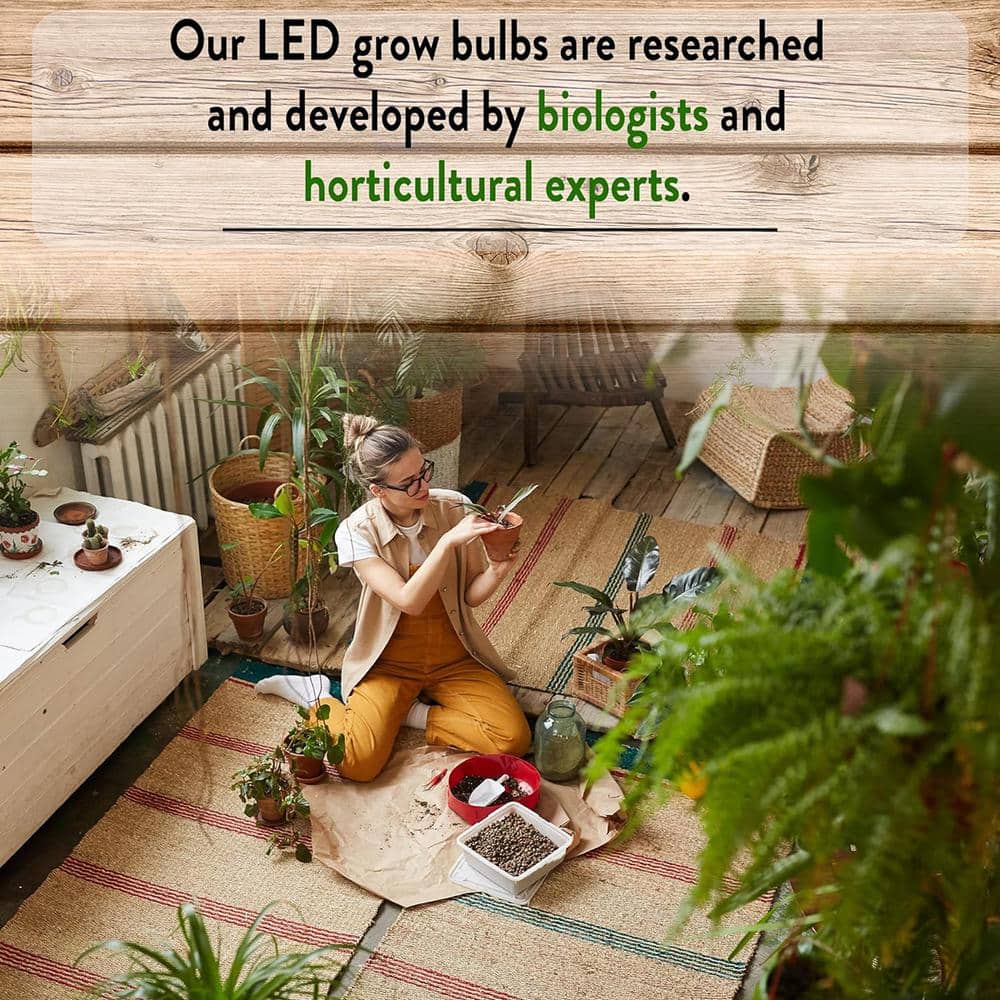 NorbBOTANIC 14W Green LED Grow Light Bulb 2-Pack