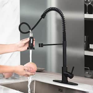 Single-Handle Deck Mount Pull Down Sprayer Kitchen Faucet with Deckplate Included in Stainless Steel Matte Black