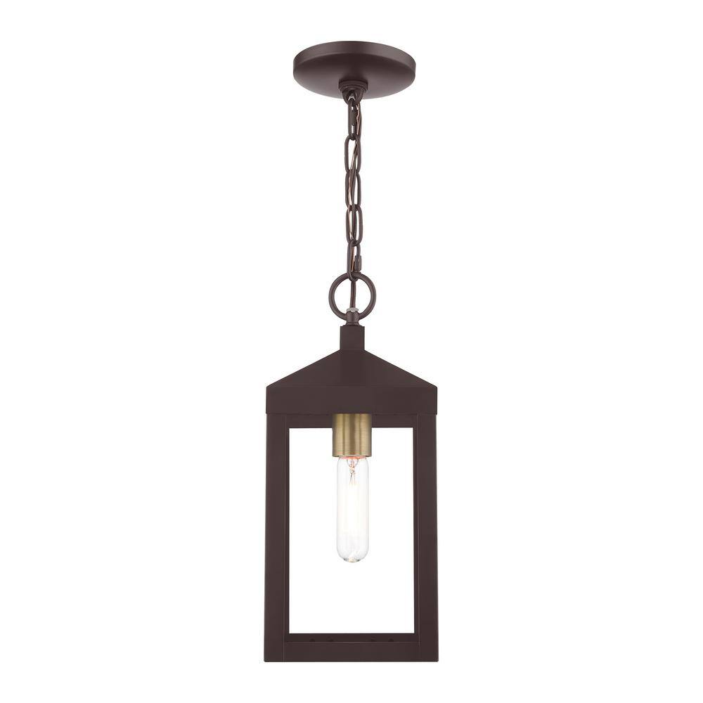 Nyack Bronze and Antique Brass 1-Light Outdoor Pendant with Clear Glass