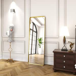 20 in. W x 64 in. H Rectangular Modern Gold Aluminum Deep Framed Full Length Mirror Floor Mirror