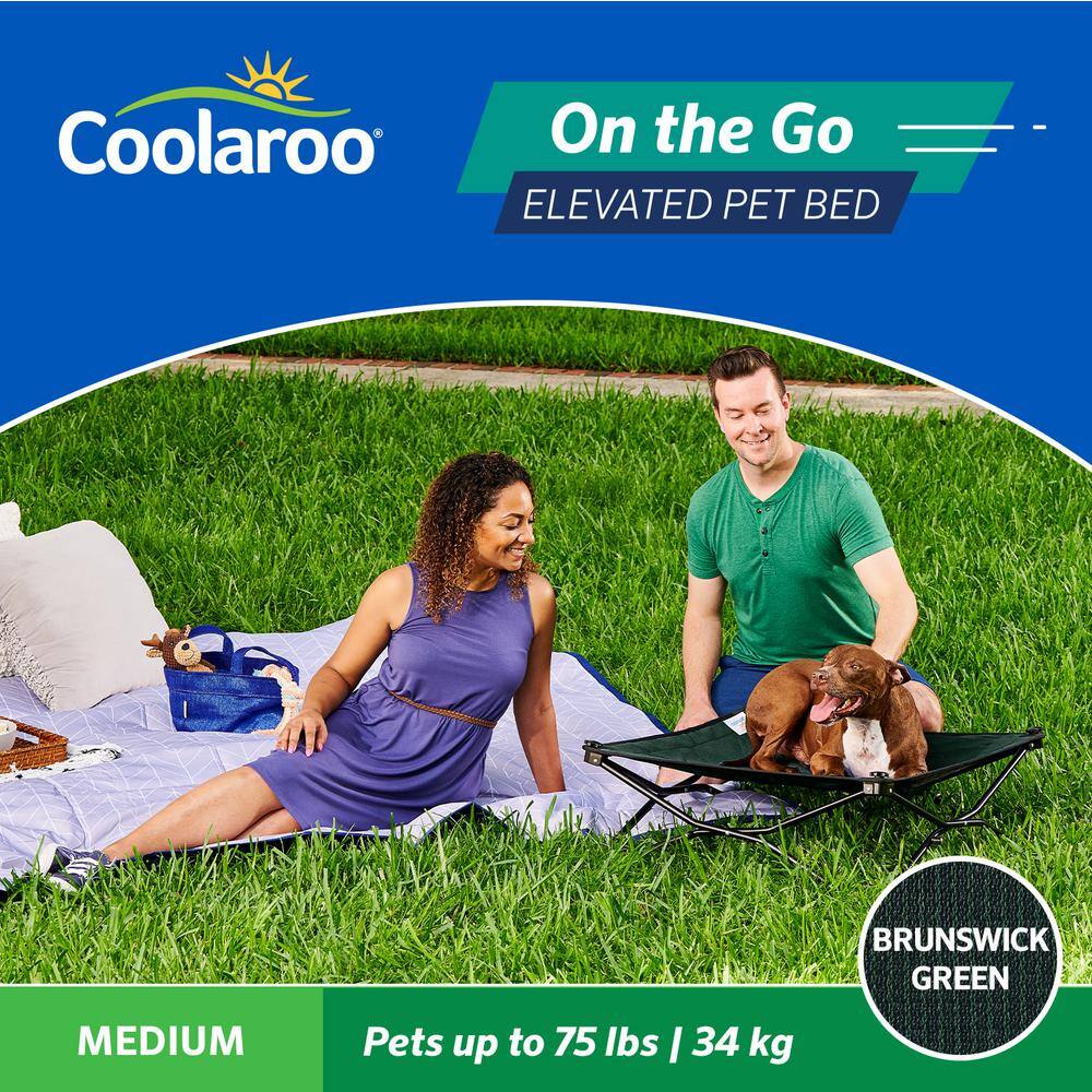 Medium Green Elevated Folding Pet Bed with Steel Frame