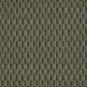 Morro Bay - Forest Mist - Green 20 oz. SD Olefin Berber Installed Carpet