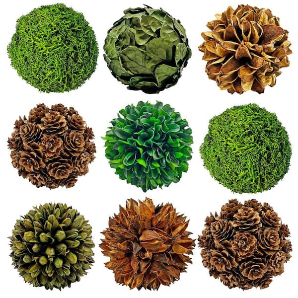 Green Brown Decorative Non Artificial Natural Preserved Topiary Balls Orbs Bowl Vase Filler (Set of 9)