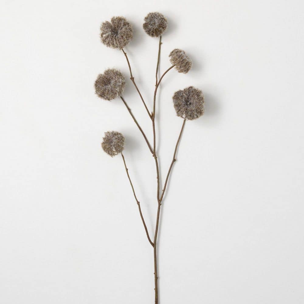 Natural Dried Flower Wired Stems Set of 5 – buy online or call 0800 756 5403