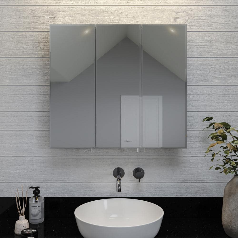 UPC 816705014804 product image for 30 in. W x 26 in. H Frameless Aluminum Recessed or Surface-Mount Bathroom Medici | upcitemdb.com