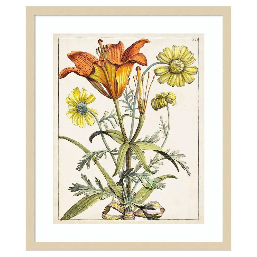 Dutch Florals V Svelte Natural Wood Framed Botanical Print