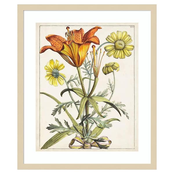 Amanti Art Dutch Florals V 21 in. W x 25 in. H. Wood Framed Wall Art Print Framed in Brown