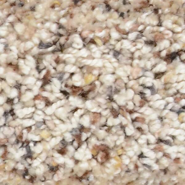 Home Decorators Collection Carpet Sample - Great Moments II (F) - Color Outback Texture 8 in. x 8 in.