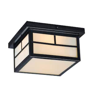 Coldwater 9.25 in. Wide Black 2-Light Outdoor Flush Mount