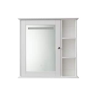 Anky 30 in. W x 6.3 in. D x 29.5 in. H Bathroom Storage Wall Cabinet with Mirror Door and Shelfs in Black