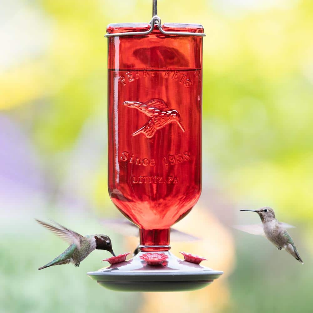 Red Antique Hanging Glass Hummingbird Feeder with Metal Accents