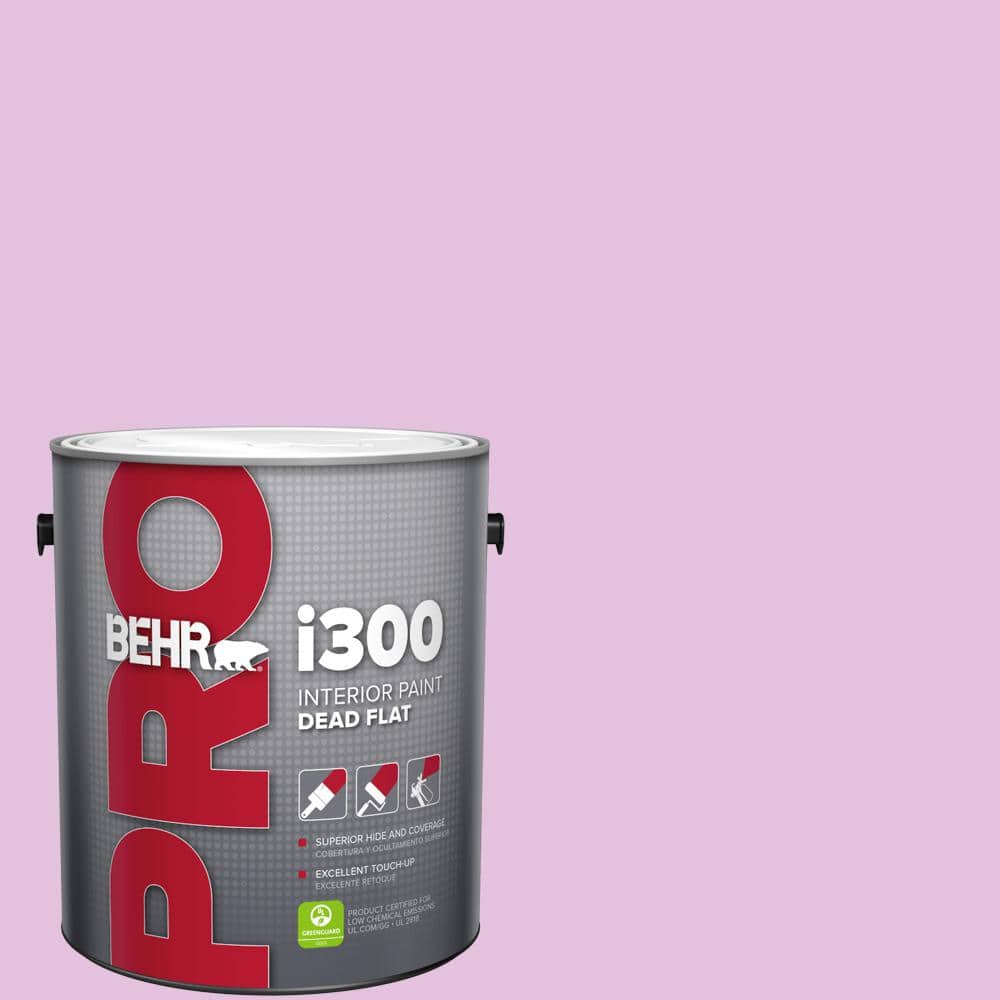1 gal. #P110-2 Girl Talk Dead Flat Interior Paint price history on PriceWatchPro