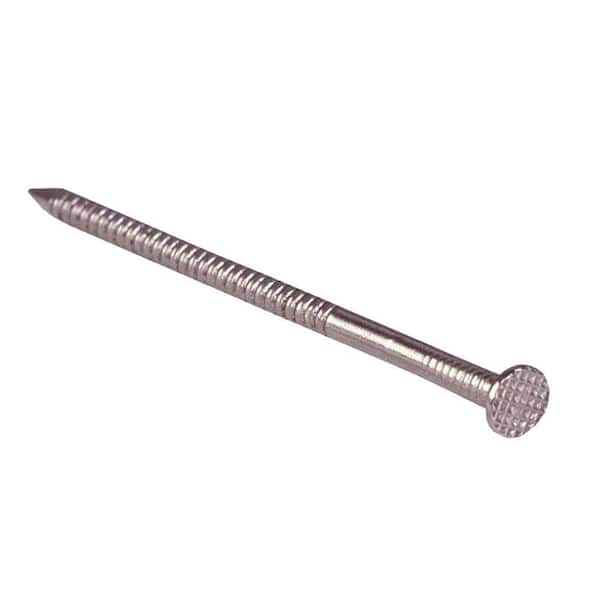 Grip-Rite 1-1/2 in. x 11-Gauge 6-penny 304 Stainless Steel Ring Shank Patio/Deck Nails 1 lb. Box