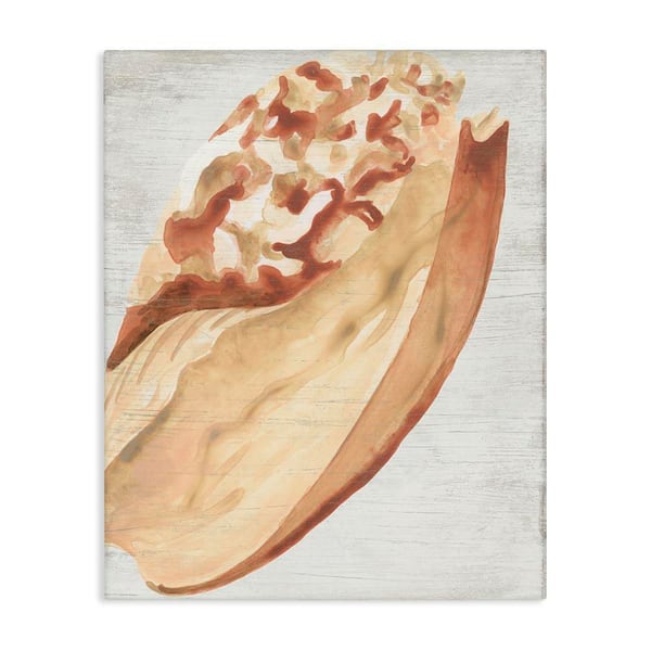 Stupell Industries Rustic Beige Shell by June Erica Vess Unframed Coastal Graphic Art Print 30 in. x 24 in.