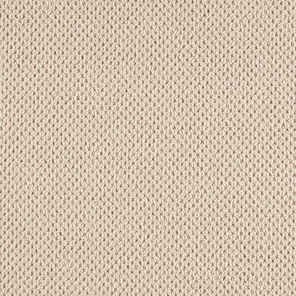 8 in. x 8 in. Pattern Carpet Sample - Beyond Cozy -Color Serene price history on PriceWatchPro