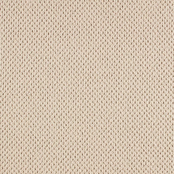 8 in. x 8 in. Pattern Carpet Sample - Beyond Cozy -Color Serene