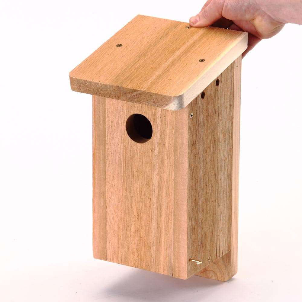 Reviews For Birds Choice Songbird Nest Box Bird House Kit Natural The Home Depot