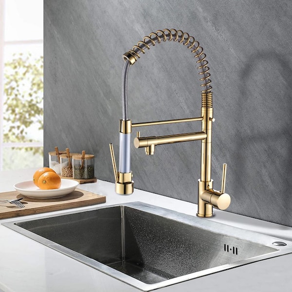 Single Handle Pull Down Sprayer Kitchen Faucet with 2-Spouts in Polished Gold