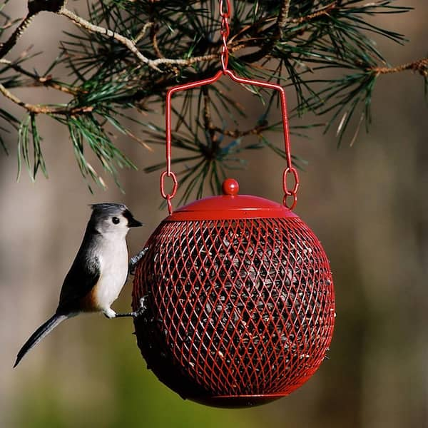 Bamboo Feeder Ball