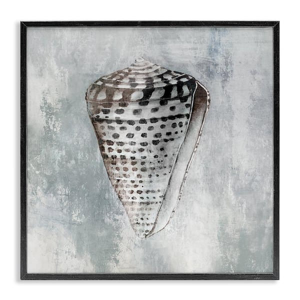 Stupell Industries Organic Cowrie Shell by Eli Jones Black Framed Coastal Giclee Art Print 12 in. x 12 in.