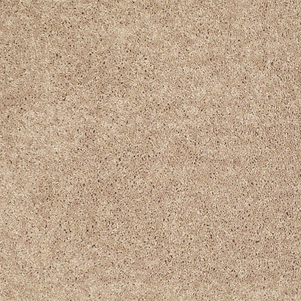 8 in. x 8 in. Texture Carpet Sample - Palmdale II - Color Honey Wheat price history on PriceWatchPro