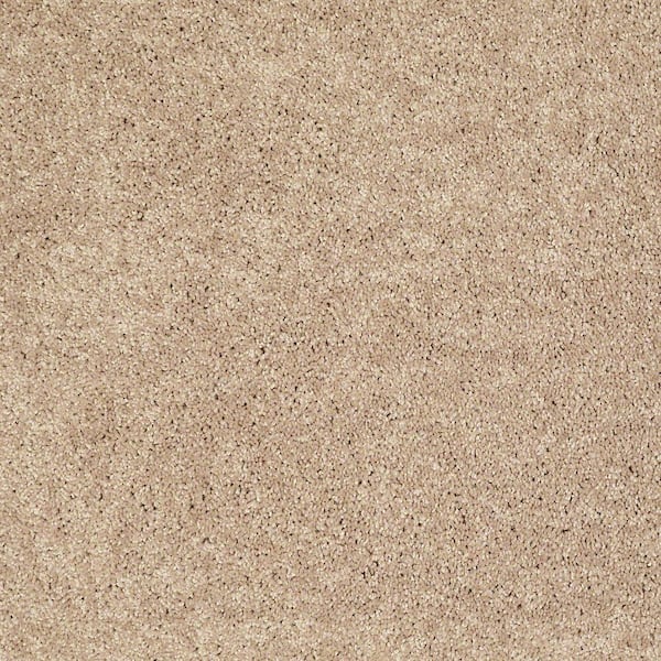 TrafficMaster 8 in. x 8 in. Texture Carpet Sample - Palmdale II - Color Honey Wheat