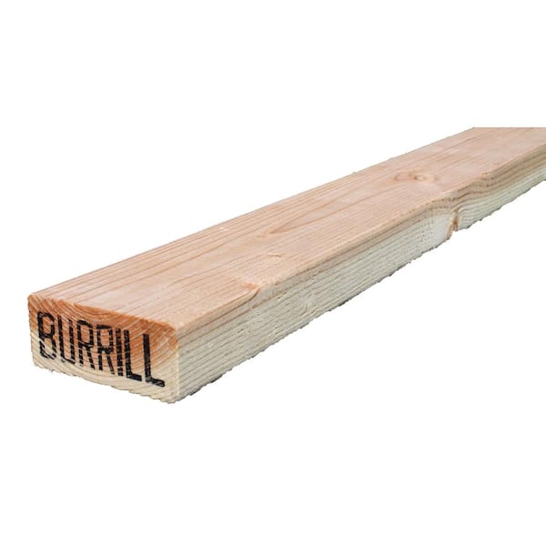 Unbranded 2 in. x 4 in. x 104-5/8 in. Premium Burrill Fir Stud