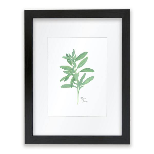 Unbranded Nature's Lace 2 "Sage" by Alyssa Lewis Individual Black Framed with Mat Nature Art Print 14 in. x 11 in.