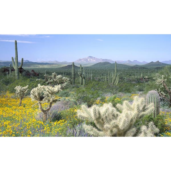 Biggies Desert View - Weather Proof Scene for Window Wells or Wall Mural - 100 in. x 60 in.