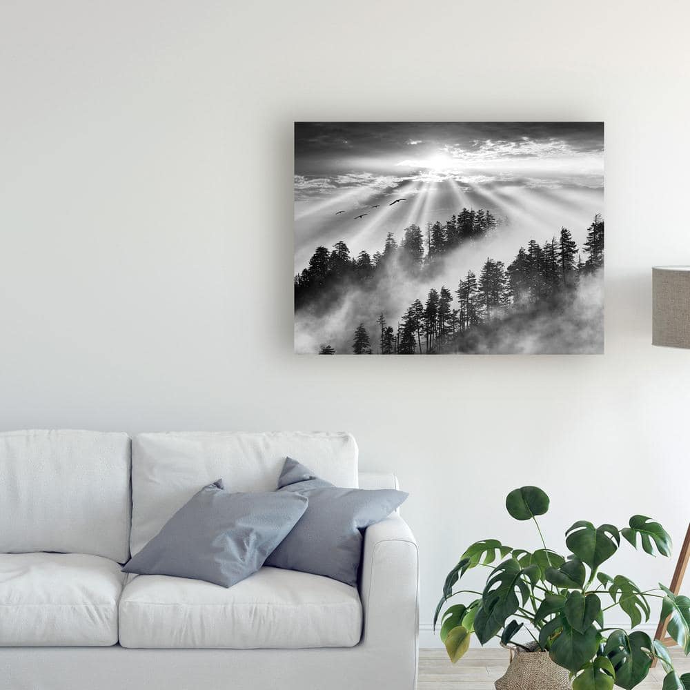 Black and White Smoky Mountain Sunrise Canvas Print, 24'' x 32''