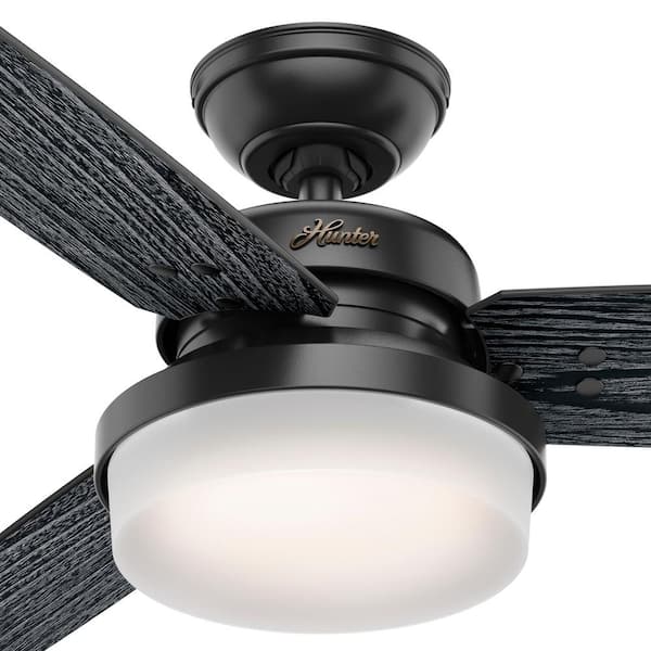 Hunter Fan 52 in Contemporary Matte Black Ceiling Fan with Light Kit and Remote 