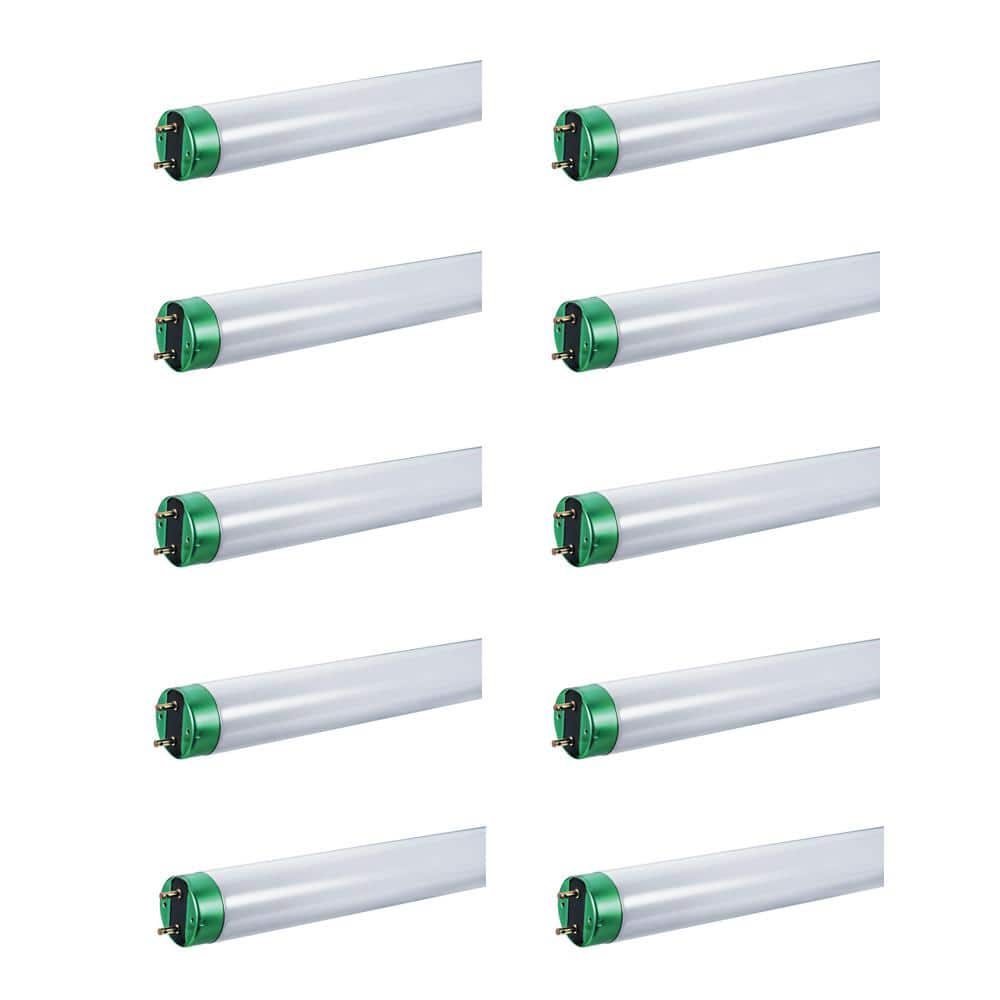 32-Watt 4 ft Linear T8 Fluorescent Tube Light Bulb, Natural Daylight (10-Pa