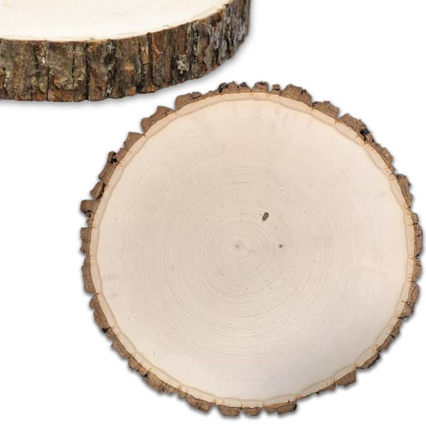 1.625 in. x 7 in. x 7 in. Basswood Thick Wood Round Slices Project Panel (8-pack) (39605)