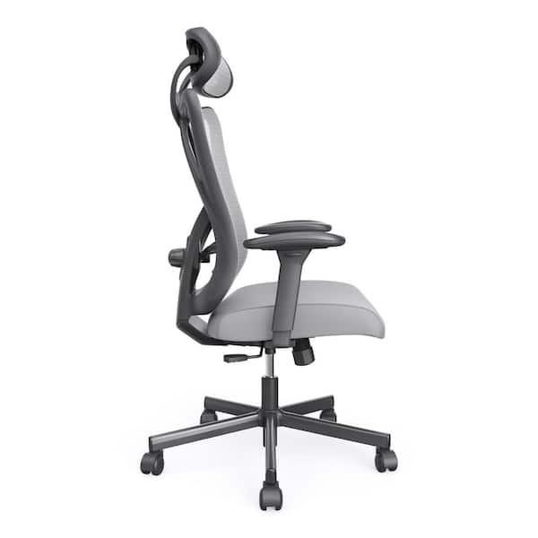 Gesture Ergonomic Office & Desk Chair