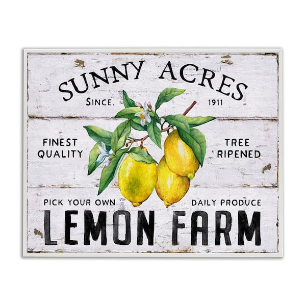 Stupell Industries Sunny Acres Lemon Farm by Creatif Belle White Framed Food Giclee Art Print 16 in. x 20 in.