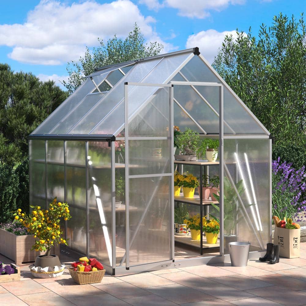 JAXPETY 6 ft. W x 8 ft. D Polycarbonate Greenhouse For Outdoors