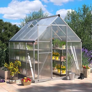 6 ft. W x 8 ft. D Polycarbonate Greenhouse For Outdoors, Walk-in Green House Kit with Adjustable Roof Vent