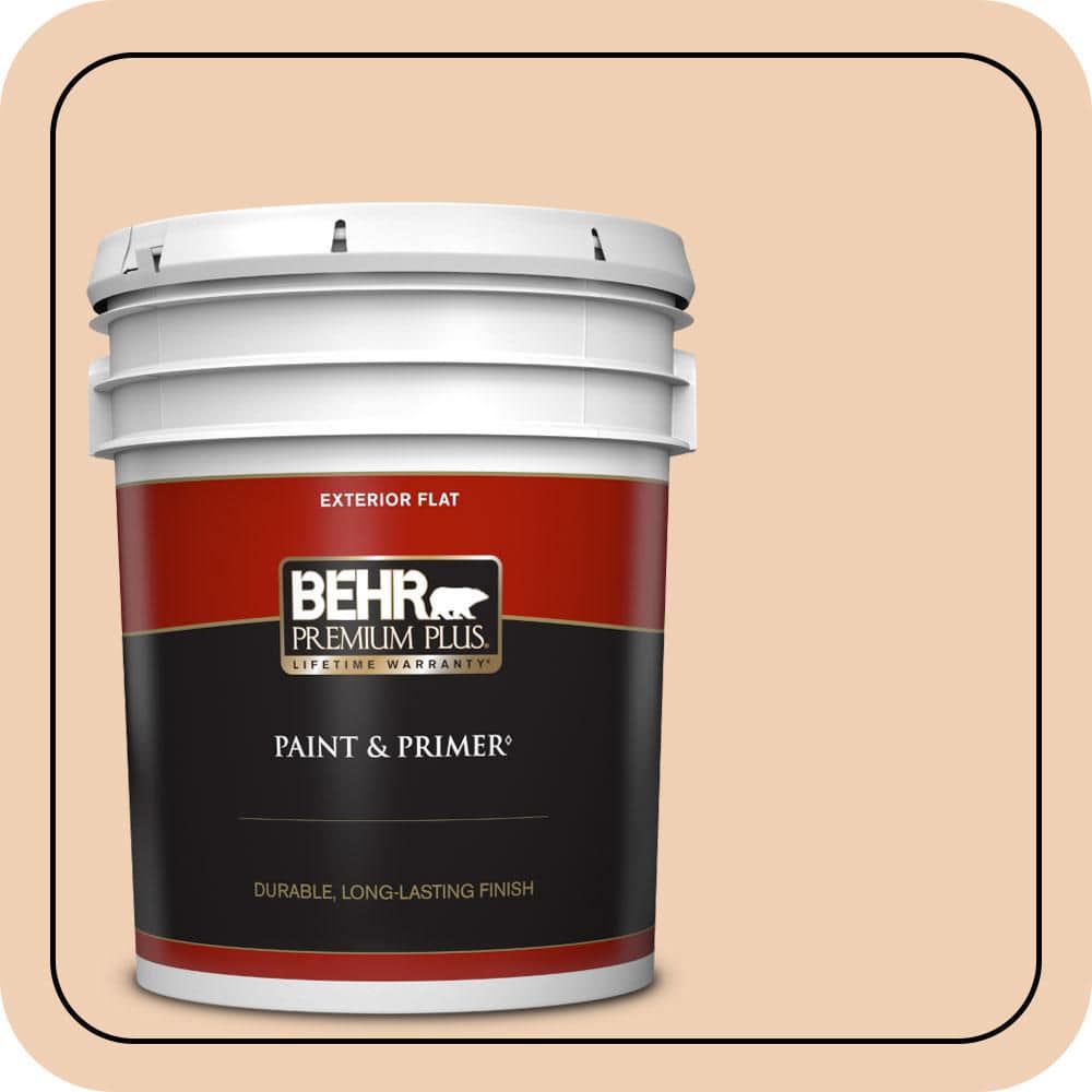 5 gal. #PPU3-07 Pale Coral Flat Exterior Paint & Primer product image for price tracking