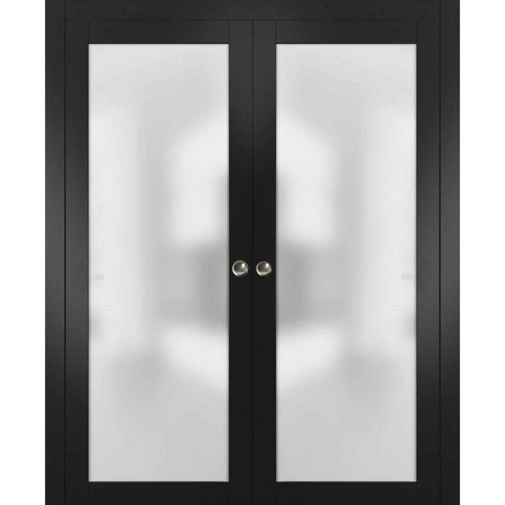 Black Double Sliding Pocket Door with Frosted Glass Panels