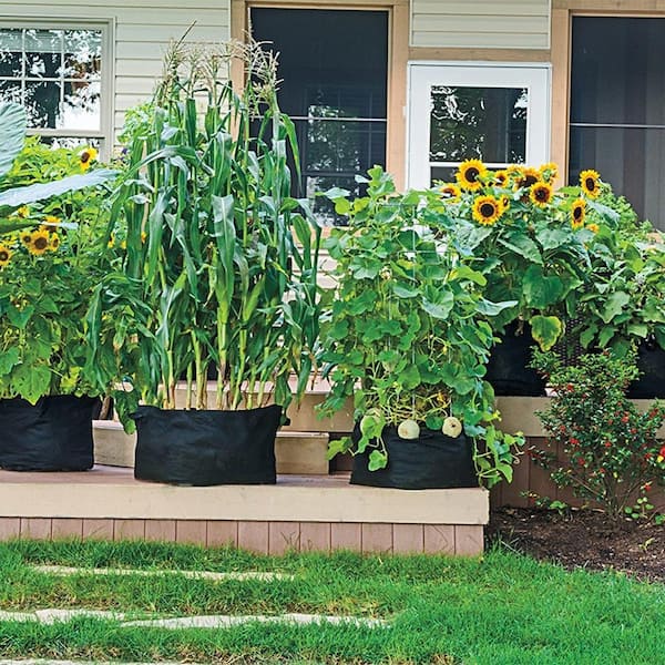 Gardens Alive! 7 Gal. Capacity Expandable Patio Grow Tub