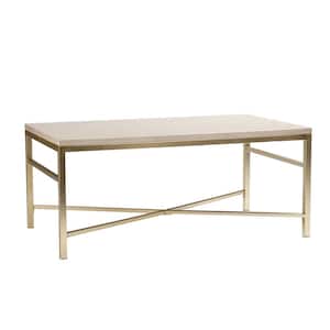Nellie 42 in. Matte Brass Large Rectangle Acrylic Coffee Table