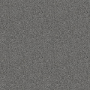Watercolors I - Dolphin - Gray 28.8 oz. Polyester Texture Installed Carpet