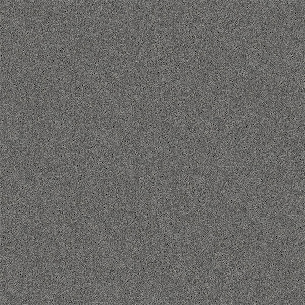 TrafficMaster Watercolors I - Dolphin - Gray 28.8 oz. Polyester Texture Installed Carpet