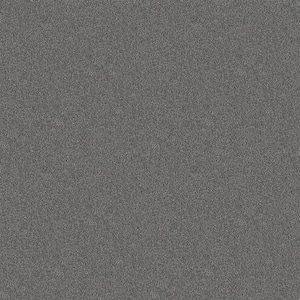 Watercolors II - Dolphin - Gray 38.4 oz. Polyester Texture Installed Carpet