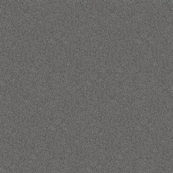 Watercolors II - Dolphin - Gray 38.4 oz. Polyester Texture Installed Carpet